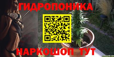 каннабис Сланцы