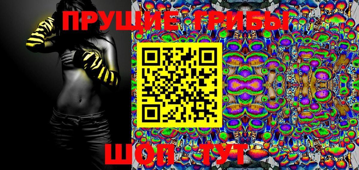 Алатырь  Галлюциногенные грибы MAGIC MUSHROOMS  Псилоцибиновые грибы MAGIC MUSHROOMS  Вход с VPN 