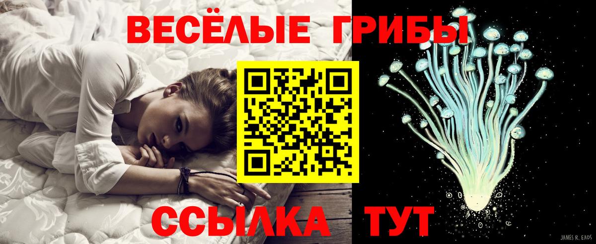 Псилоцибиновые грибы прущие грибы Алатырь